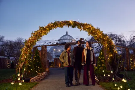 Holiday Train Nights