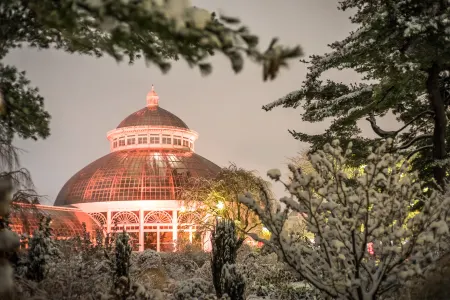 Holiday Train Nights