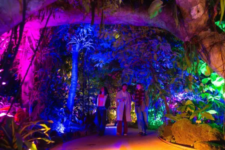 Holiday Train Nights