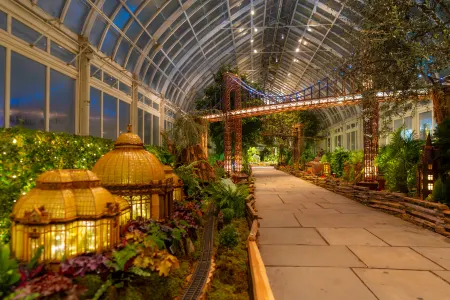 Holiday Train Nights