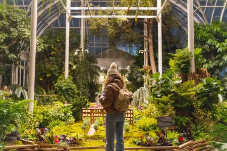 Holiday Train Nights