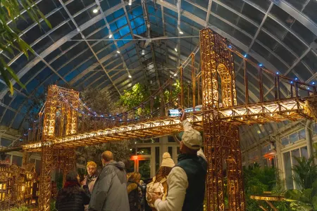 Holiday Train Nights